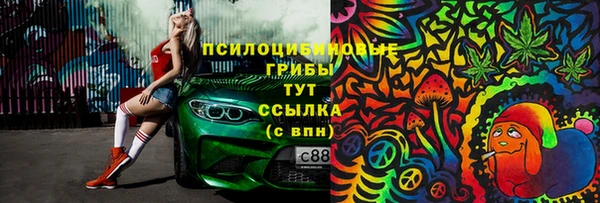 шишки Армянск